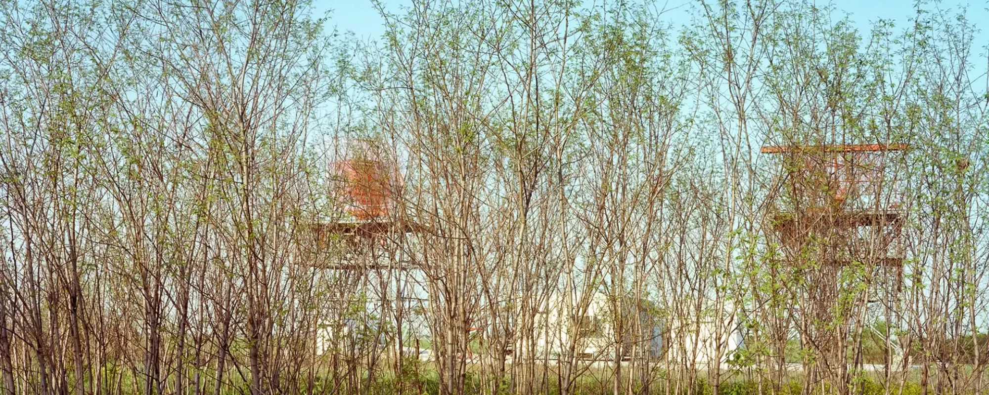 Primary and Backup Radar, 1986