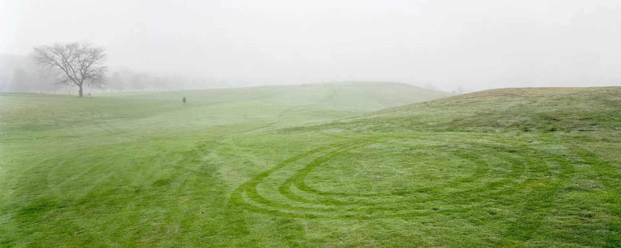Tire Tracks in the Country Meadow, Franklin Park, Boston, 1994