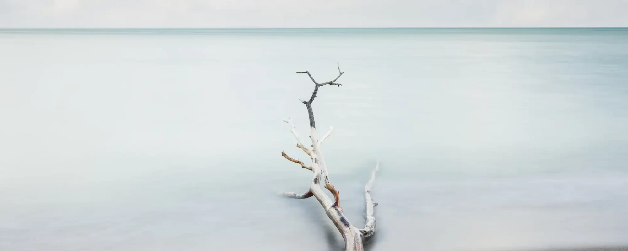 Lake Erie, Point Pelee, 2022