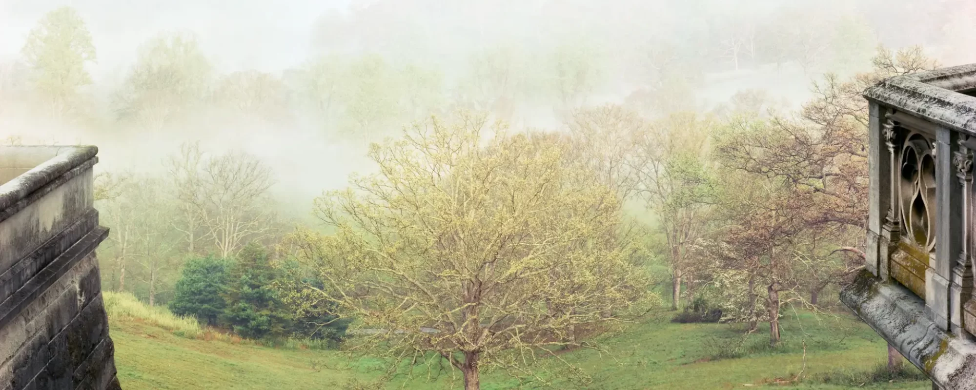 View from the Terrace, Biltmore Estate, Asheville, 1990