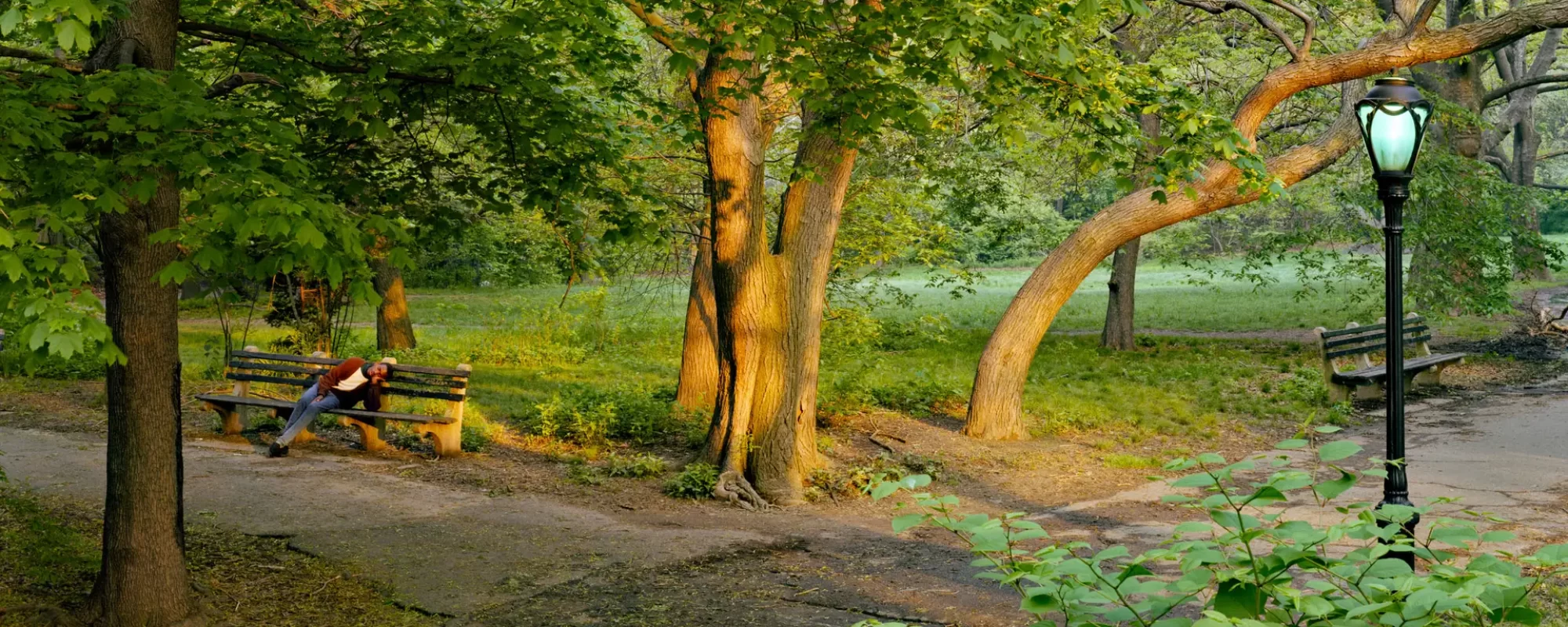 Man Sleeping in the Ramble, Central Park, New York, 1989