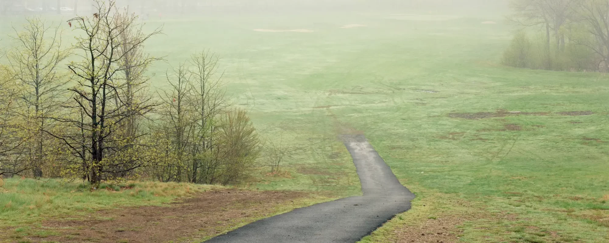 Asphalt Pathway in the Country Meadow, Franklin Park, Boston, 1994