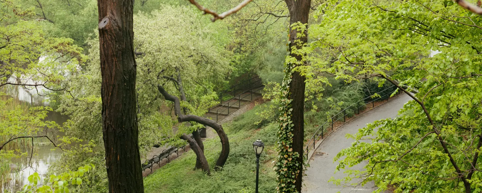 Woman in Blue Raincoat, Central Park, 1989