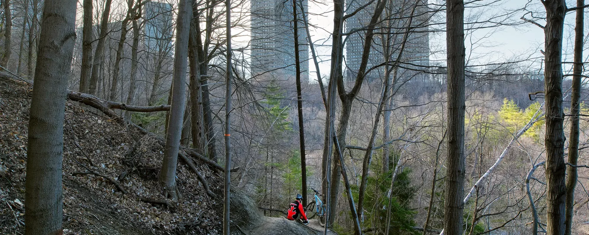 E.T. Seton Park, 2012, Pigment print, 56 cm x 76 cm
