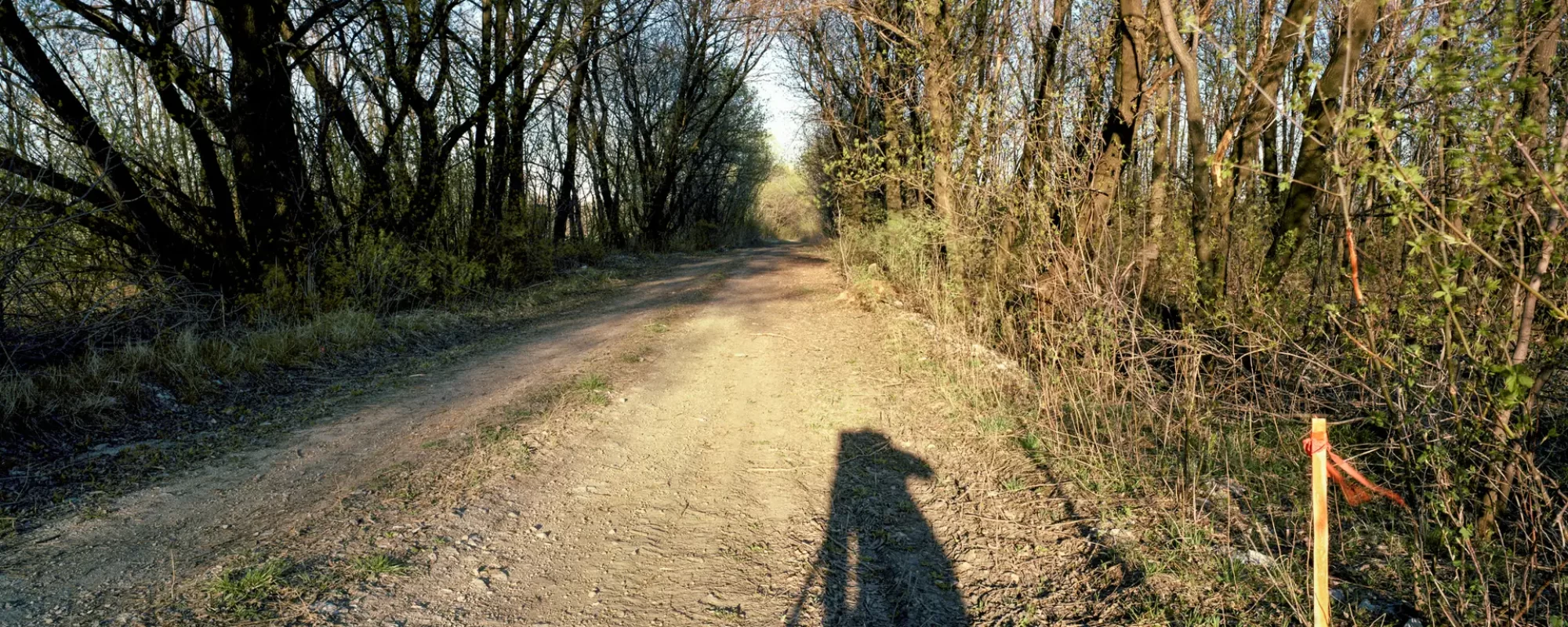 Service Road With Marker, 1985