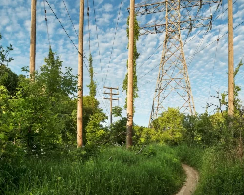 Footpath, Lower Don Parklands, 2016, Pigment print, 56 cm x 76 cm