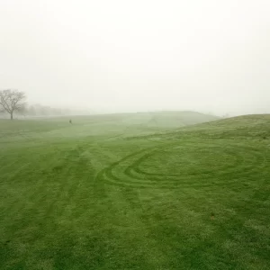 Tire Tracks, Franklin Park, Boston, 1994, 61 cm X 76 cm Chromogenic Print