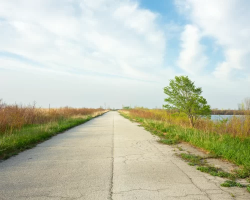 The Unassumed Road on the Endikement, 2019
