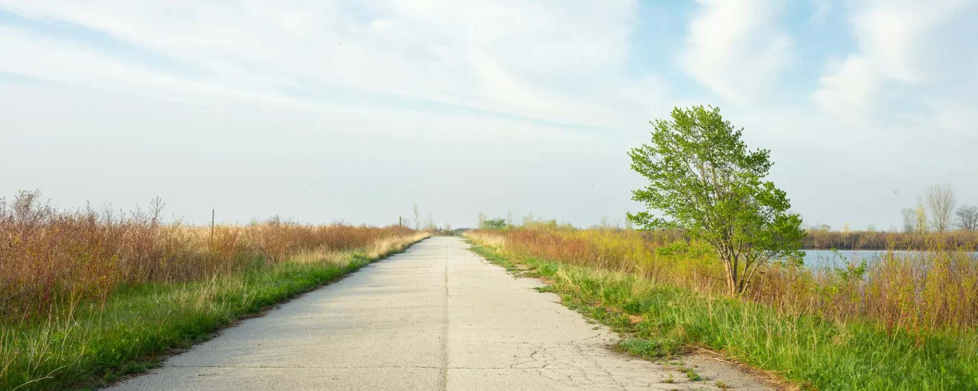 The Unassumed Road on the Endikement, 2019