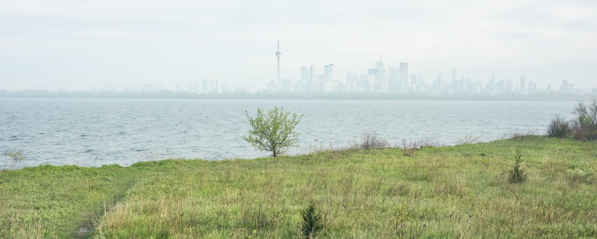 View of the Toronto skyline from Lighthouse Point,2019