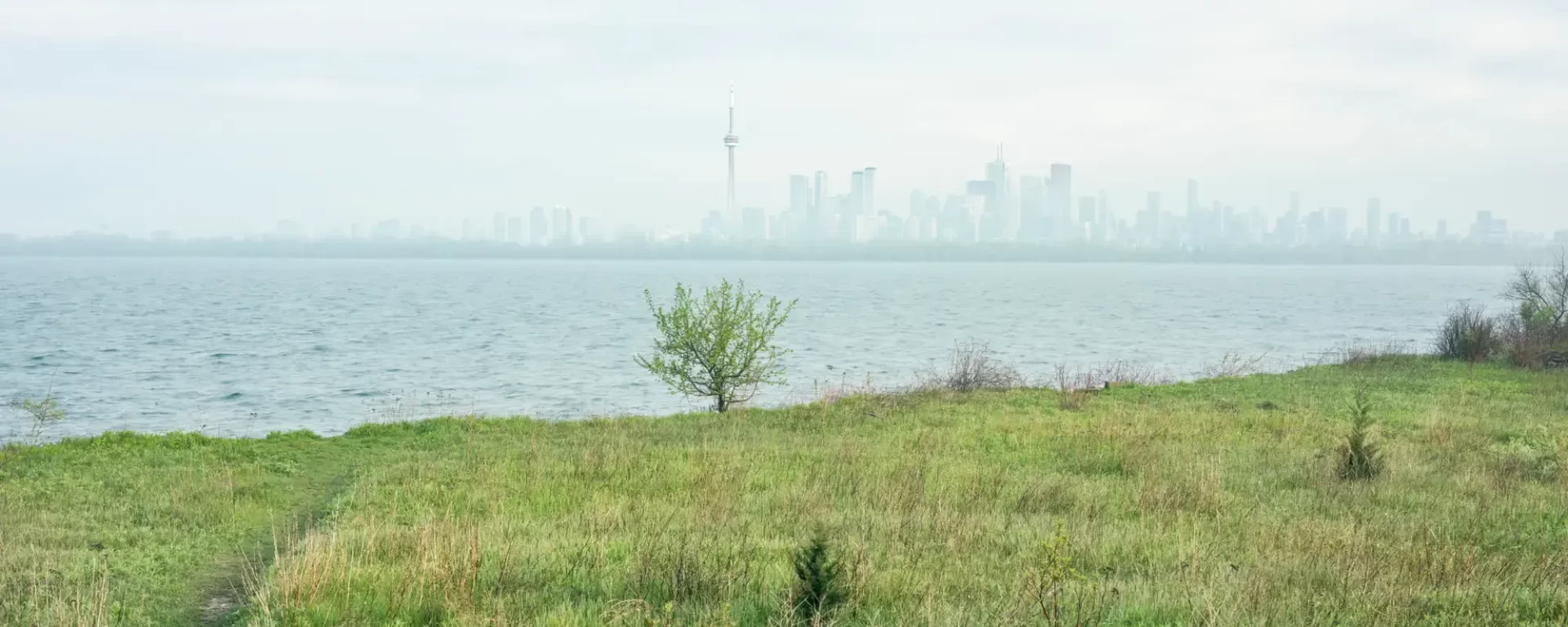 View of the Toronto skyline from Lighthouse Point,2019